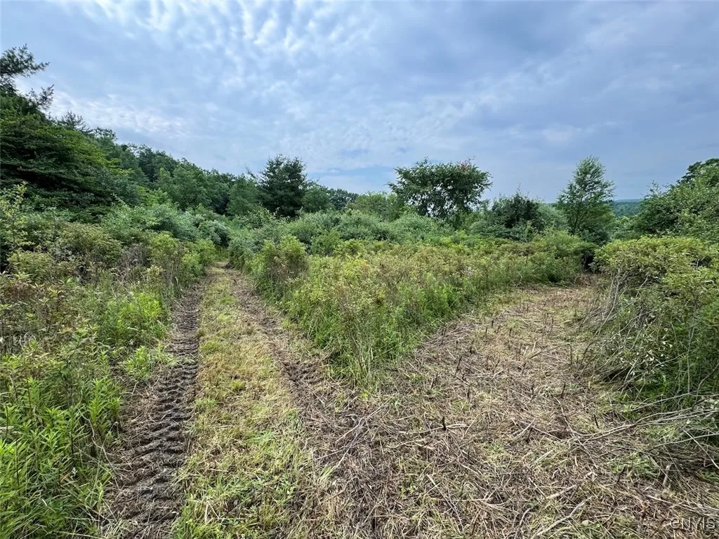 County Road 114, Wayne, New York 14840, Wayne, New York 14840, ,Land,For Sale,County Road 114, Wayne, New York 14840,S1633196