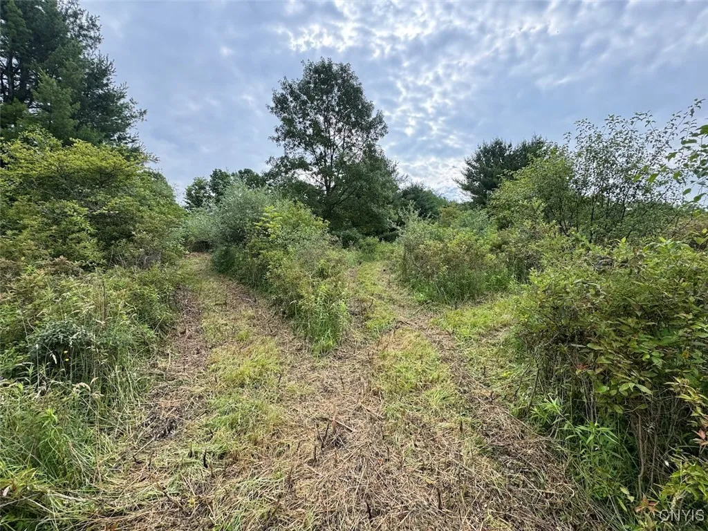 County Road 114, Wayne, New York 14840, Wayne, New York 14840, ,Land,For Sale,County Road 114, Wayne, New York 14840,S1633196