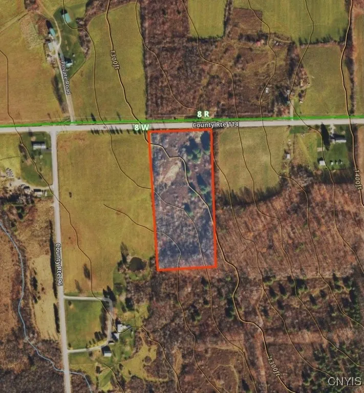 County Road 114, Wayne, New York 14840, Wayne, New York 14840, ,Land,For Sale,County Road 114, Wayne, New York 14840,S1633196