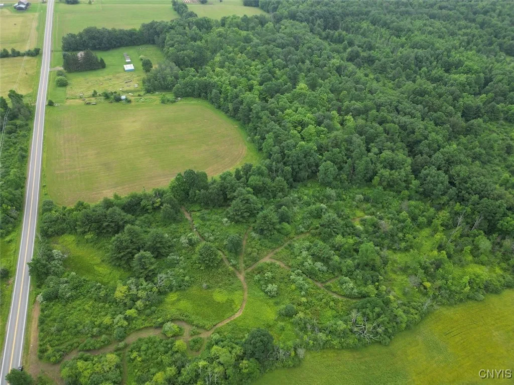 County Road 114, Wayne, New York 14840, Wayne, New York 14840, ,Land,For Sale,County Road 114, Wayne, New York 14840,S1633196