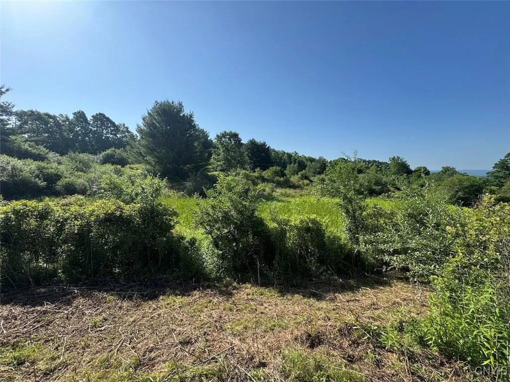 County Road 114, Wayne, New York 14840, Wayne, New York 14840, ,Land,For Sale,County Road 114, Wayne, New York 14840,S1633196