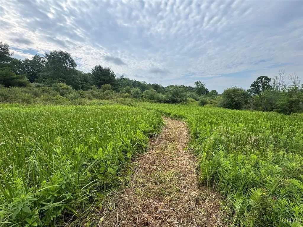 County Road 114, Wayne, New York 14840, Wayne, New York 14840, ,Land,For Sale,County Road 114, Wayne, New York 14840,S1633196