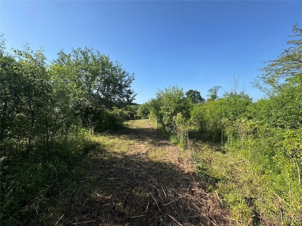 County Road 114, Wayne, New York 14840, Wayne, New York 14840, ,Land,For Sale,County Road 114, Wayne, New York 14840,S1633196