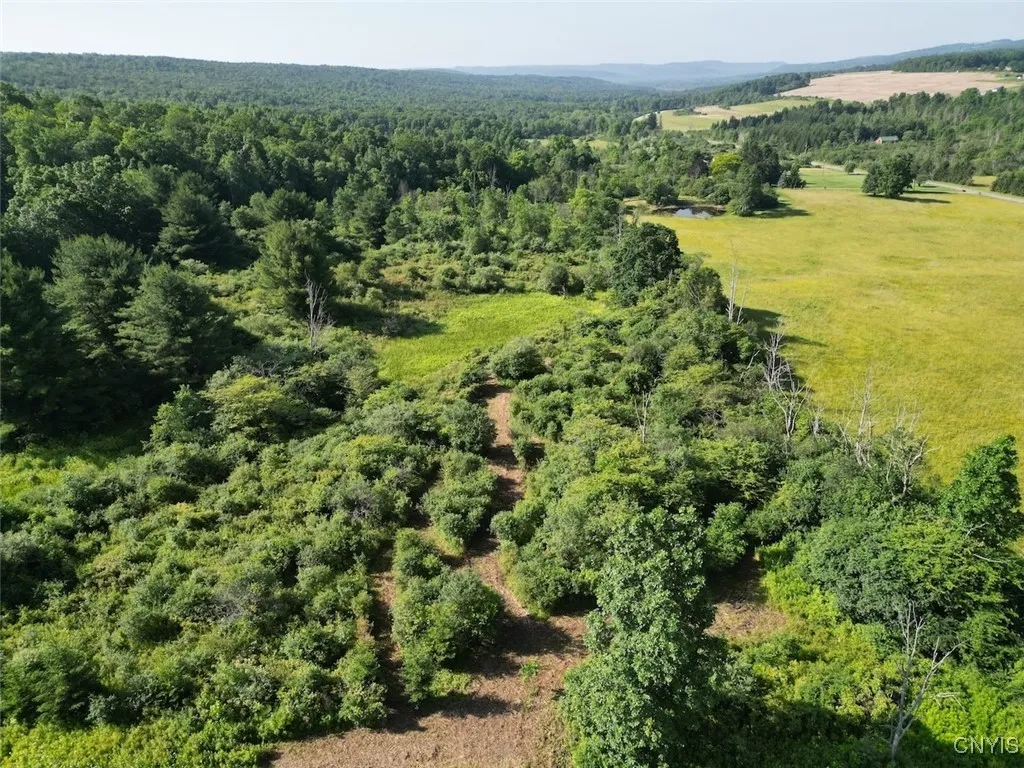 County Road 114, Wayne, New York 14840, Wayne, New York 14840, ,Land,For Sale,County Road 114, Wayne, New York 14840,S1633196