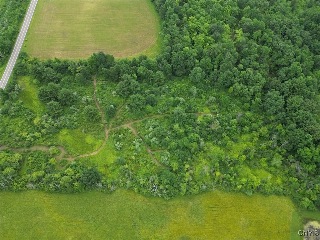 County Road 114, Wayne, New York 14840, Wayne, New York 14840, ,Land,For Sale,County Road 114, Wayne, New York 14840,S1633196