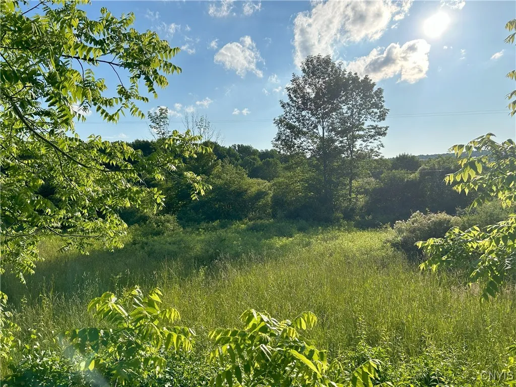 0 Syrian Hill Road, Solon, New York 13101, Solon, New York 13101, ,Land,For Sale,0 Syrian Hill Road, Solon, New York 13101,S1633177