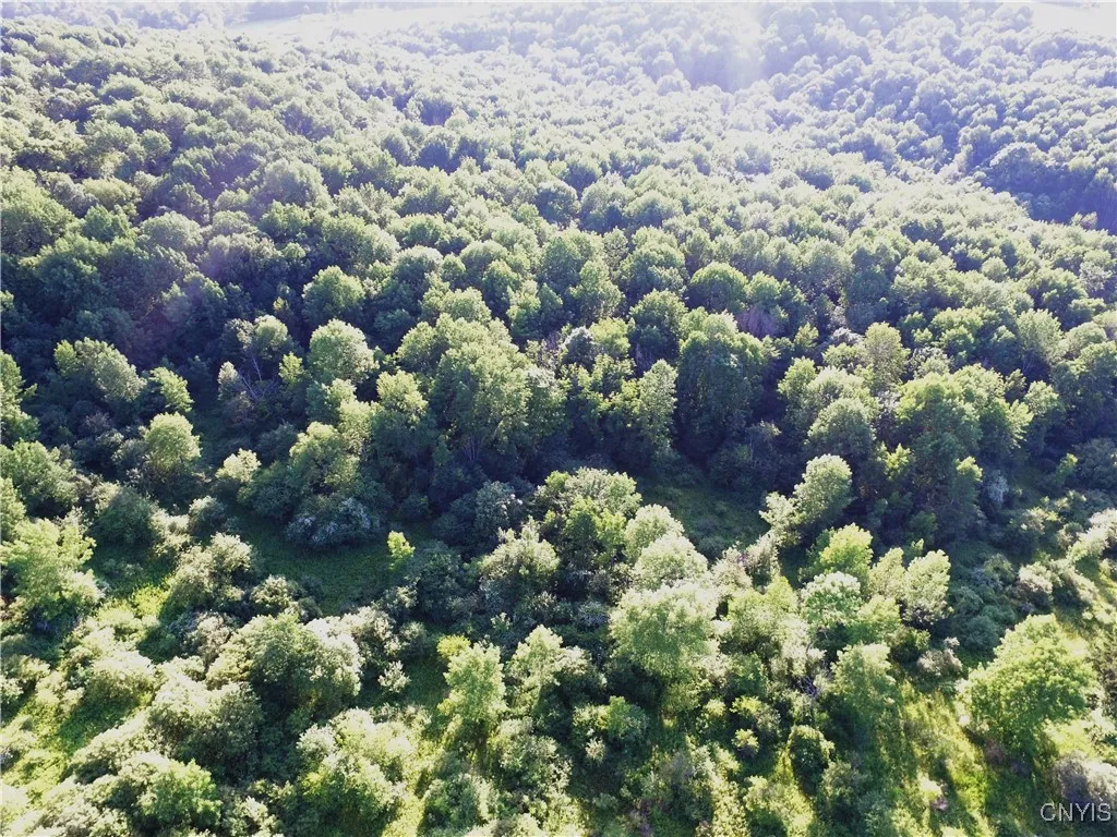 0 Syrian Hill Road, Solon, New York 13101, Solon, New York 13101, ,Land,For Sale,0 Syrian Hill Road, Solon, New York 13101,S1633177