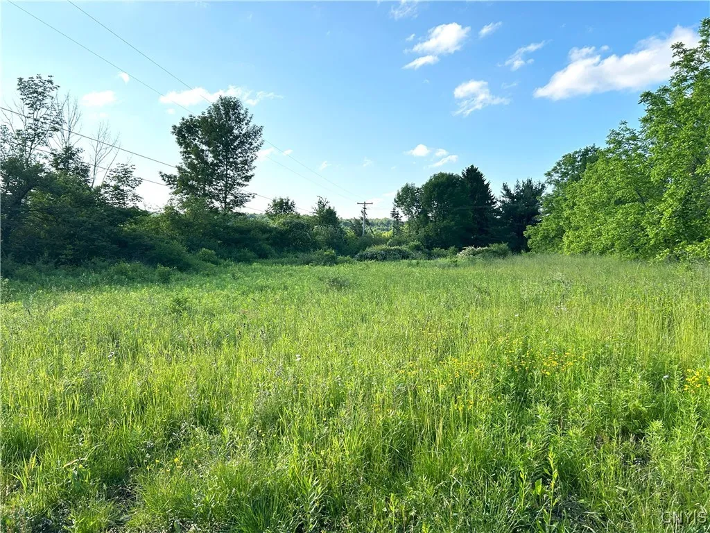 0 Syrian Hill Road, Solon, New York 13101, Solon, New York 13101, ,Land,For Sale,0 Syrian Hill Road, Solon, New York 13101,S1633177