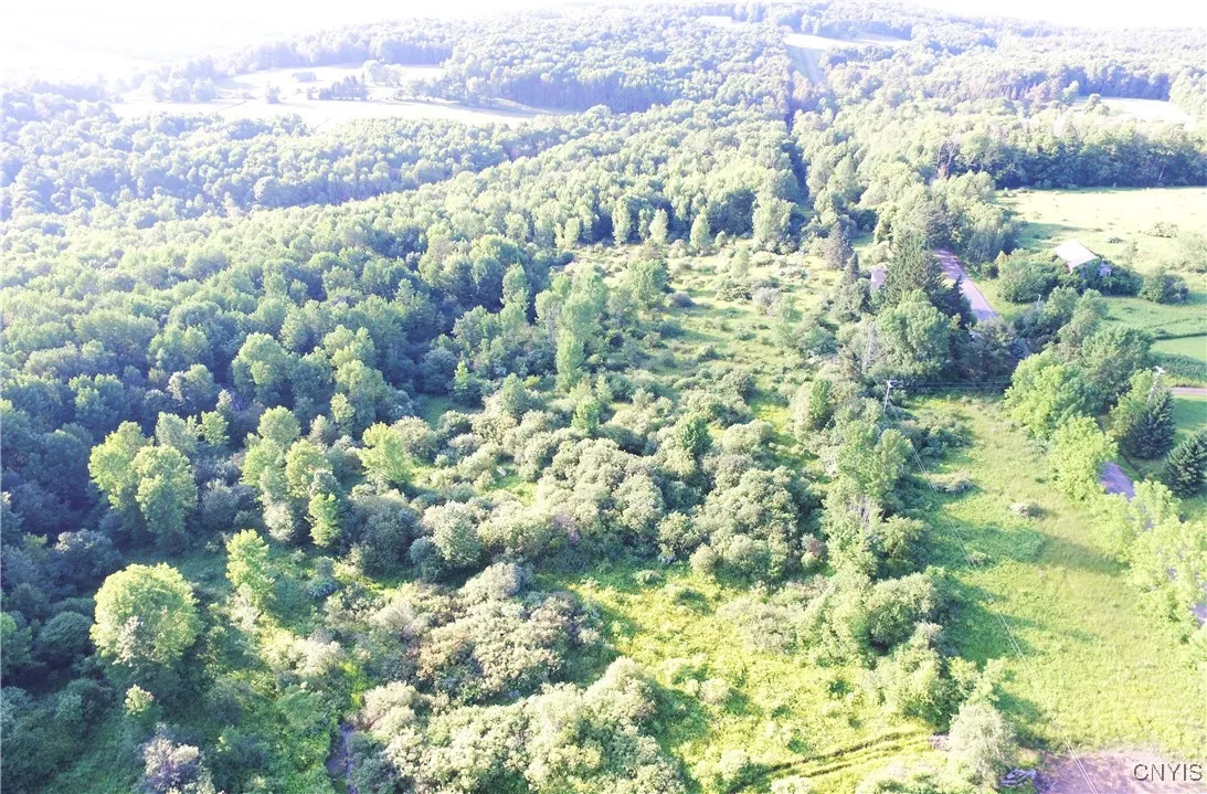 0 Syrian Hill Road, Solon, New York 13101, Solon, New York 13101, ,Land,For Sale,0 Syrian Hill Road, Solon, New York 13101,S1633177