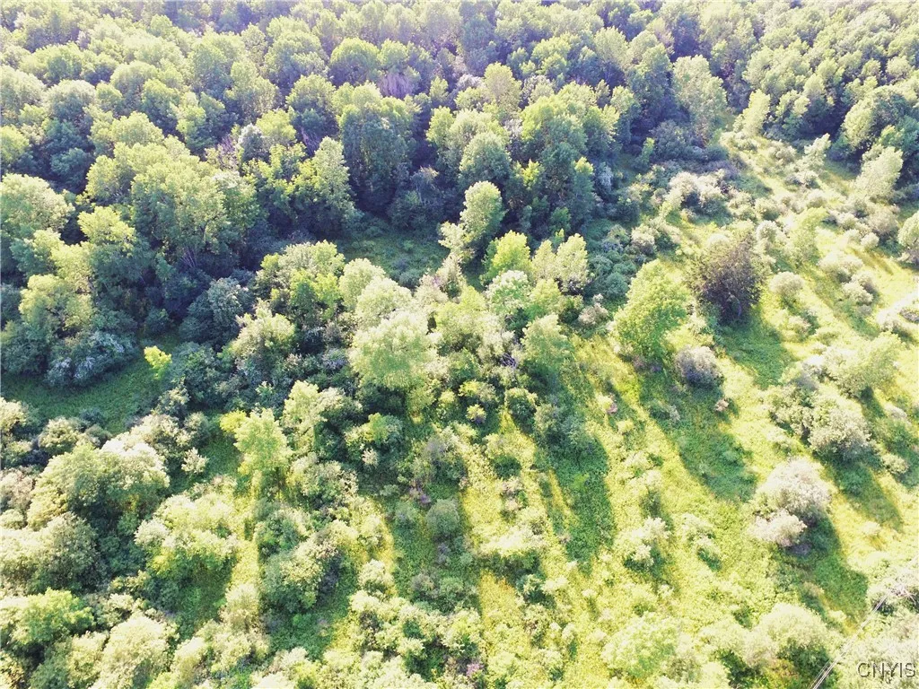 0 Syrian Hill Road, Solon, New York 13101, Solon, New York 13101, ,Land,For Sale,0 Syrian Hill Road, Solon, New York 13101,S1633177