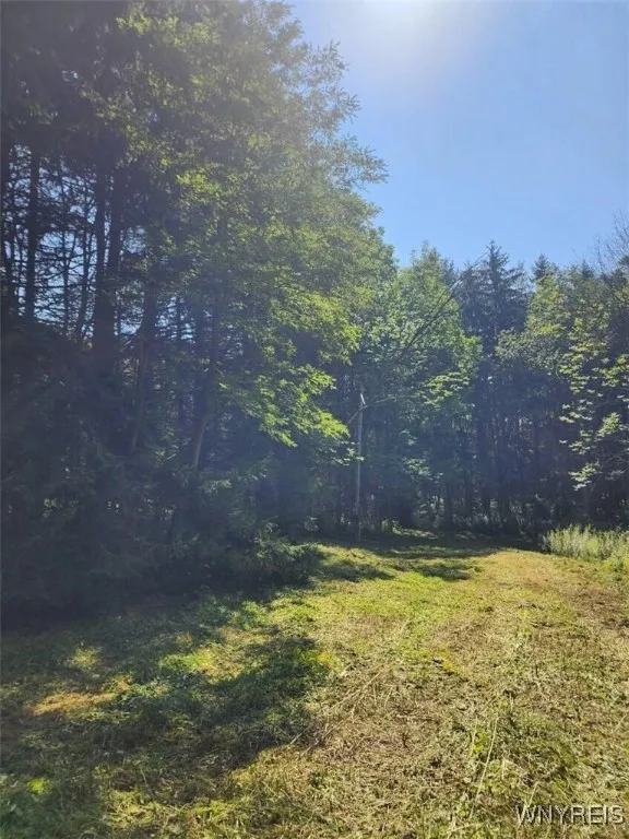 6984 Bowers Road, Stockton, New York 14718, Stockton, New York 14718, ,Land,For Sale,6984 Bowers Road, Stockton, New York 14718,B1632351