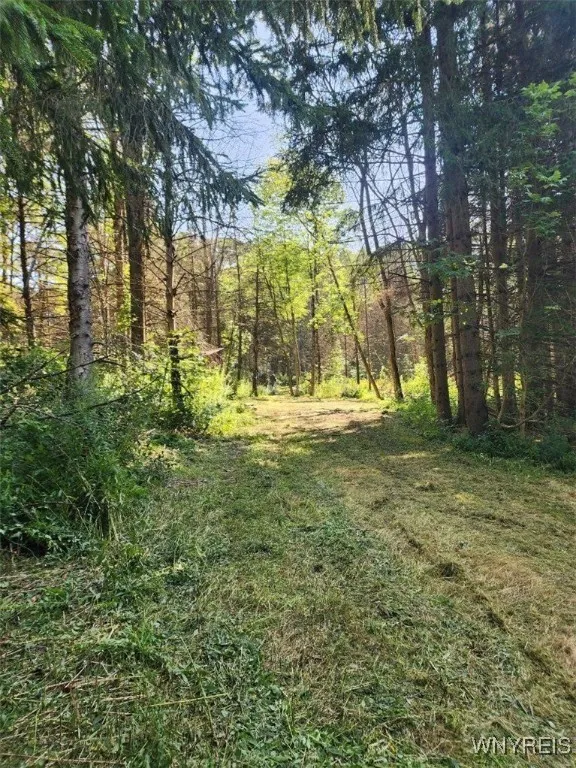 6984 Bowers Road, Stockton, New York 14718, Stockton, New York 14718, ,Land,For Sale,6984 Bowers Road, Stockton, New York 14718,B1632351