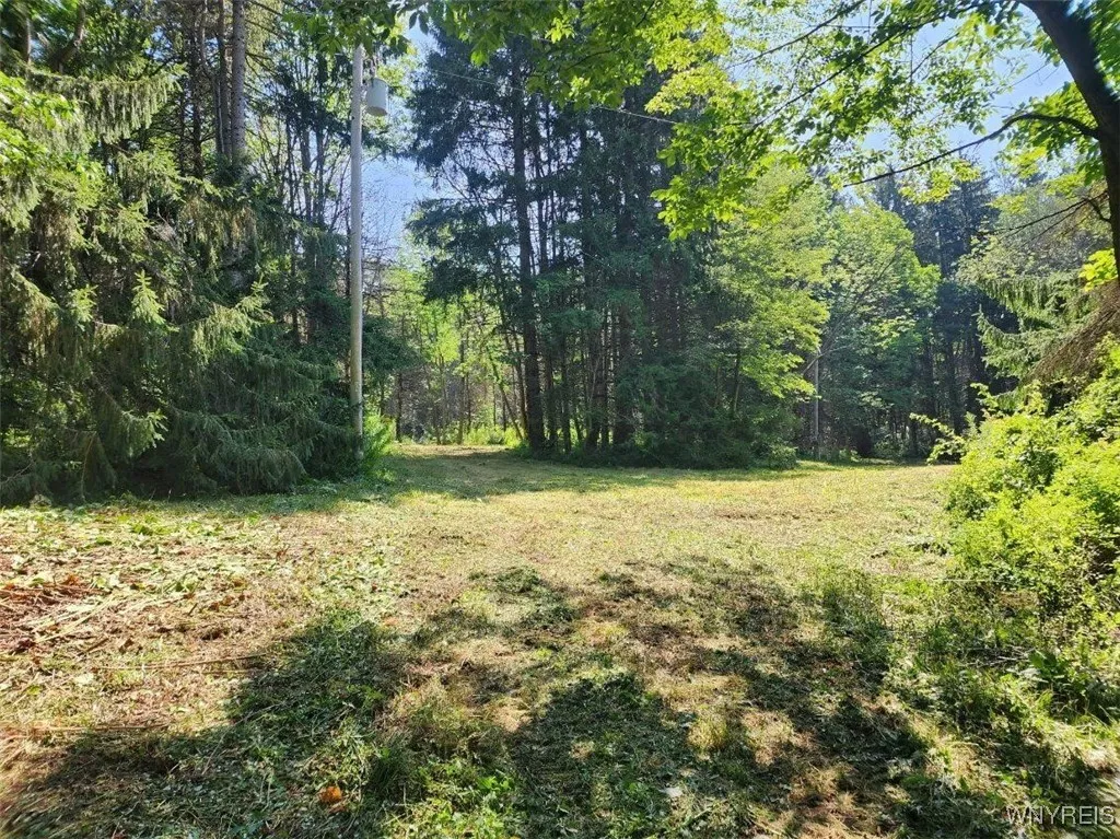 6984 Bowers Road, Stockton, New York 14718, Stockton, New York 14718, ,Land,For Sale,6984 Bowers Road, Stockton, New York 14718,B1632351