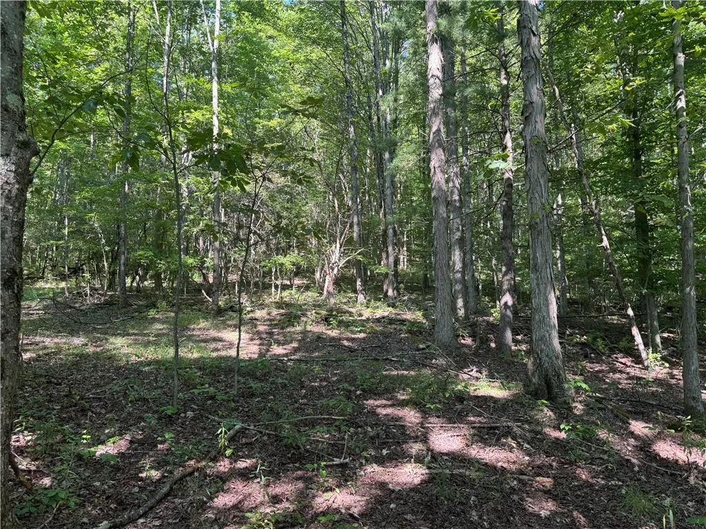 452 Upper Green Street, Otego, New York 13825, Otego, New York 13825, 4 Bedrooms Bedrooms, 9 Rooms Rooms,2 BathroomsBathrooms,Residential,For Sale,452 Upper Green Street, Otego, New York 13825,R1631411
