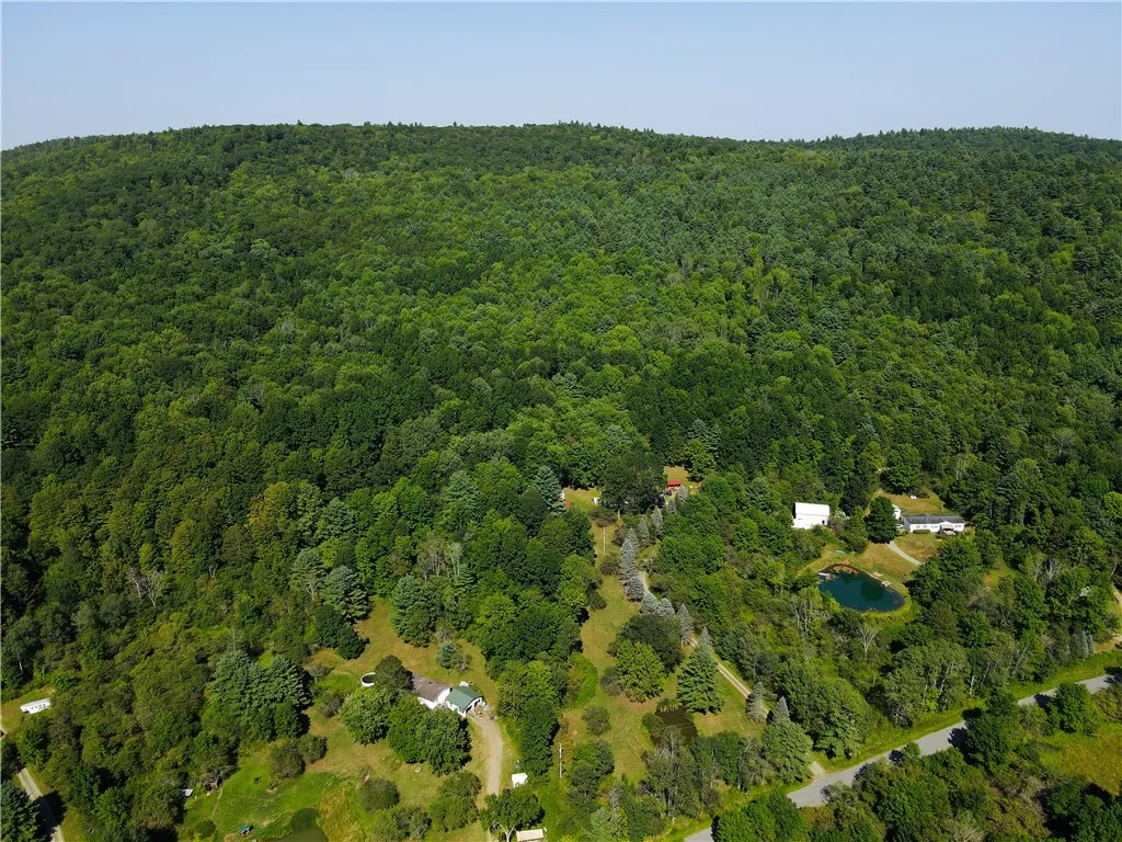452 Upper Green Street, Otego, New York 13825, Otego, New York 13825, 4 Bedrooms Bedrooms, 9 Rooms Rooms,2 BathroomsBathrooms,Residential,For Sale,452 Upper Green Street, Otego, New York 13825,R1631411