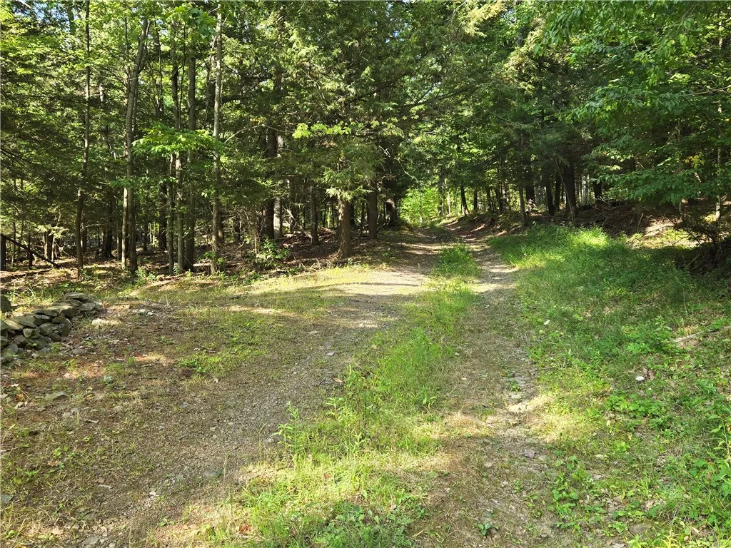 7645 Hickory Hill Road, Bath, New York 14810, Bath, New York 14810, 3 Bedrooms Bedrooms, 10 Rooms Rooms,1 BathroomBathrooms,Residential,For Sale,7645 Hickory Hill Road, Bath, New York 14810,0,R1633288