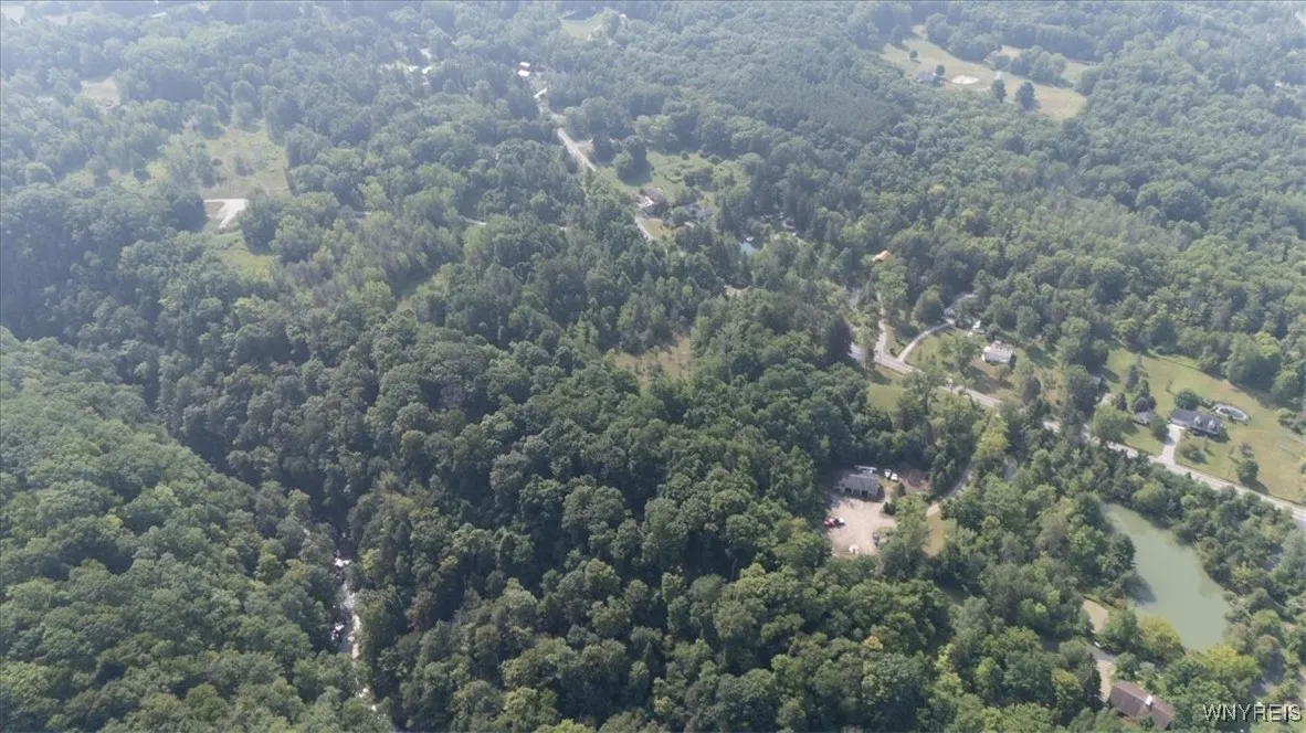 Vl 20.2, Colden, New York 14033, Colden, New York 14033, ,Land,For Sale,Vl 20.2, Colden, New York 14033,B1594184