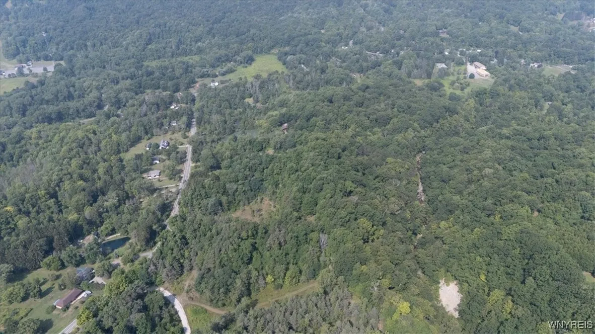 Vl 20.2, Colden, New York 14033, Colden, New York 14033, ,Land,For Sale,Vl 20.2, Colden, New York 14033,B1594184