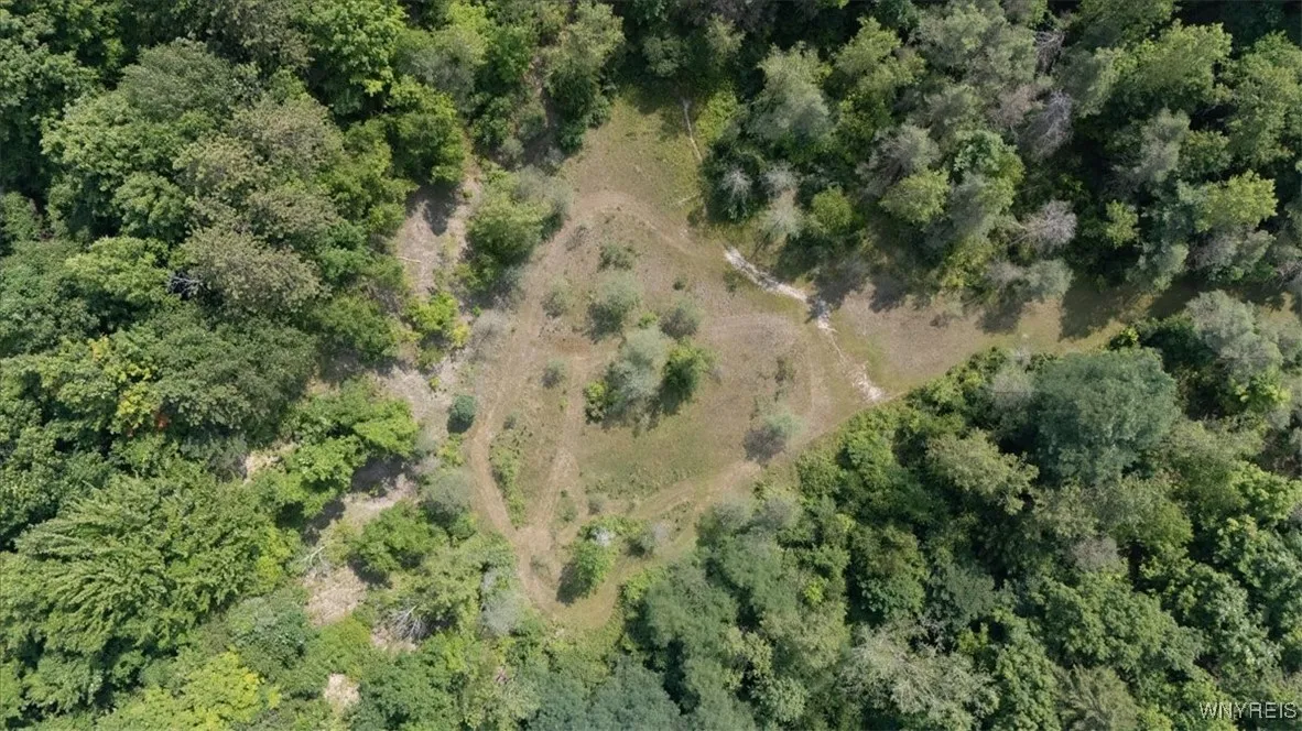 Vl 20.2, Colden, New York 14033, Colden, New York 14033, ,Land,For Sale,Vl 20.2, Colden, New York 14033,B1594184