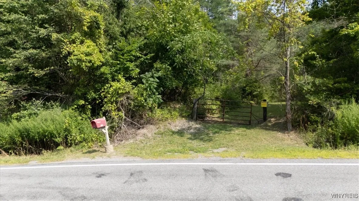 Vl 20.2, Colden, New York 14033, Colden, New York 14033, ,Land,For Sale,Vl 20.2, Colden, New York 14033,B1594184