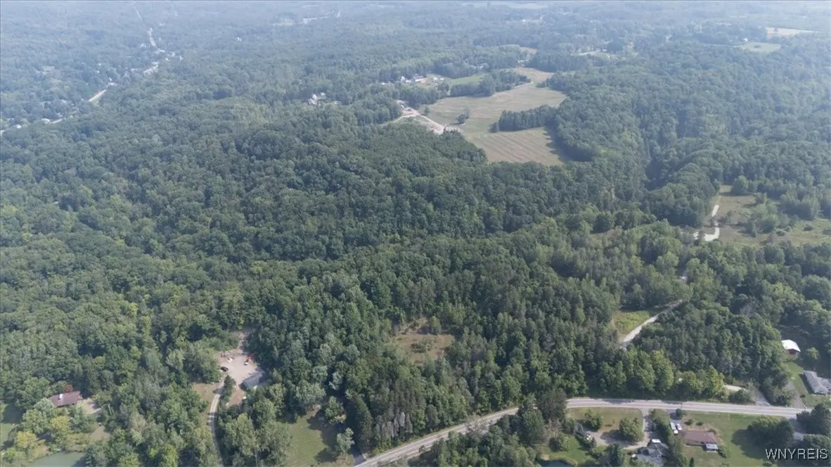 Vl 20.2, Colden, New York 14033, Colden, New York 14033, ,Land,For Sale,Vl 20.2, Colden, New York 14033,B1594184