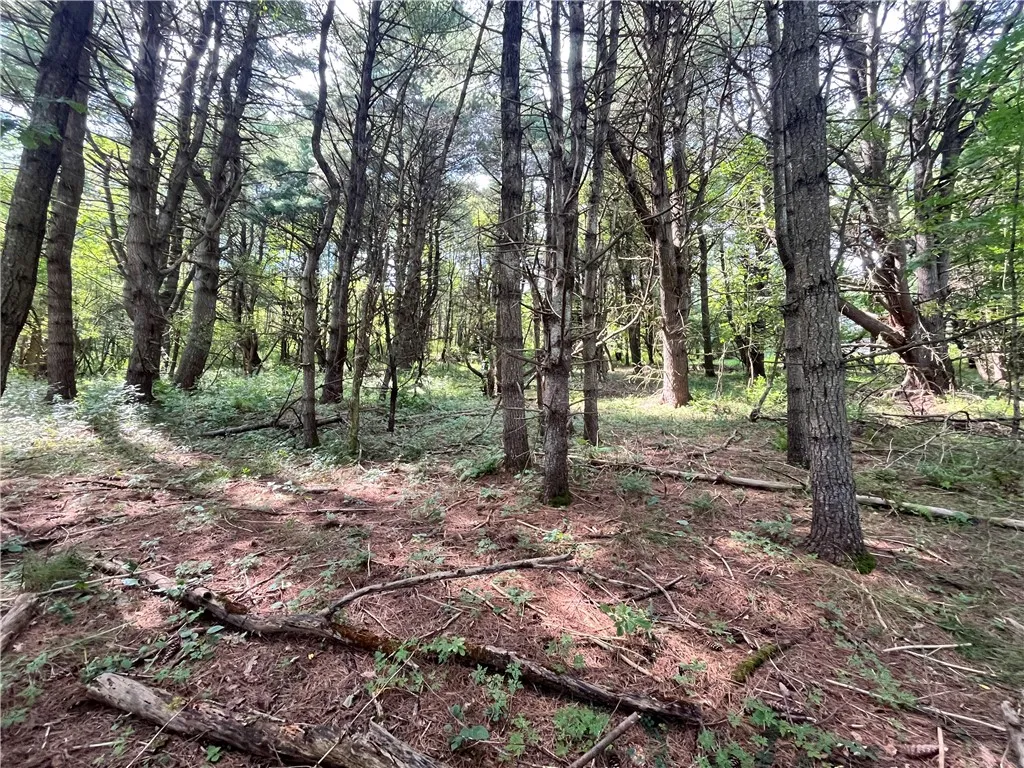 0 Chase Road, Bainbridge, New York 13730, Bainbridge, New York 13730, ,Land,For Sale,0 Chase Road, Bainbridge, New York 13730,R1633328