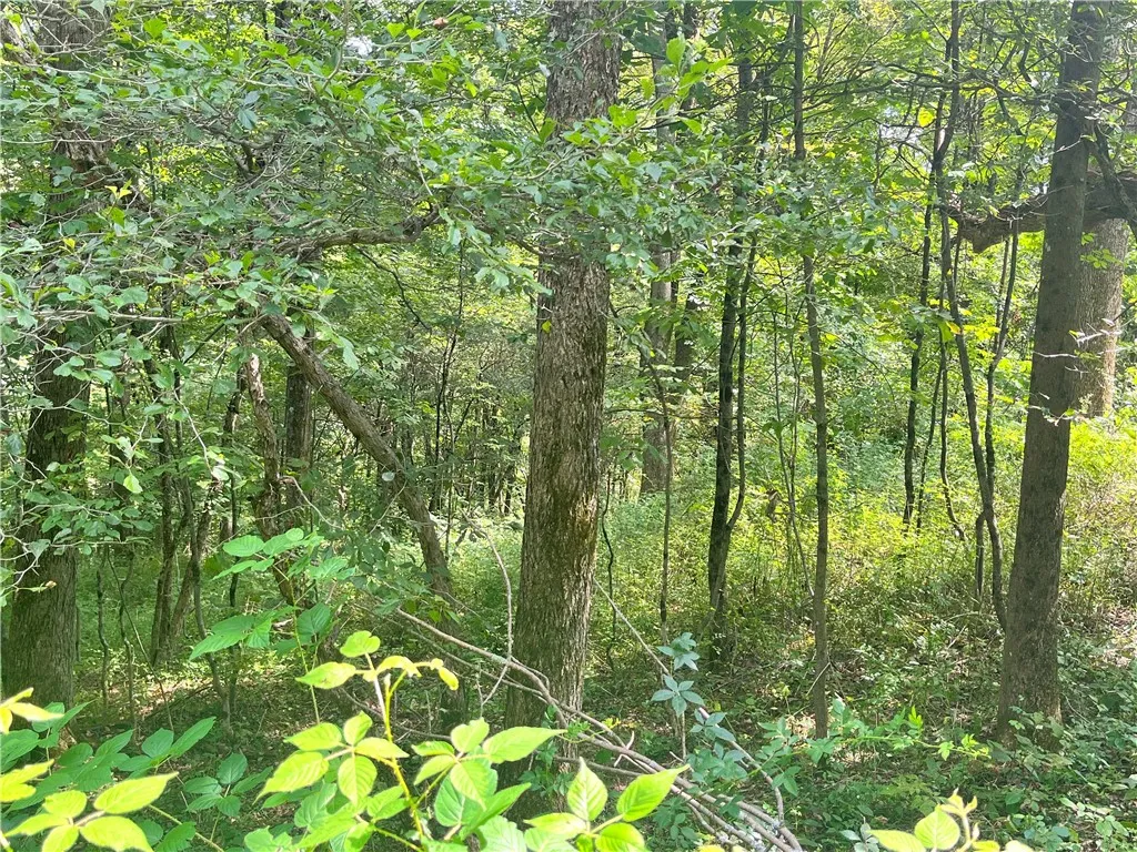 0 Chase Road, Bainbridge, New York 13730, Bainbridge, New York 13730, ,Land,For Sale,0 Chase Road, Bainbridge, New York 13730,R1633328