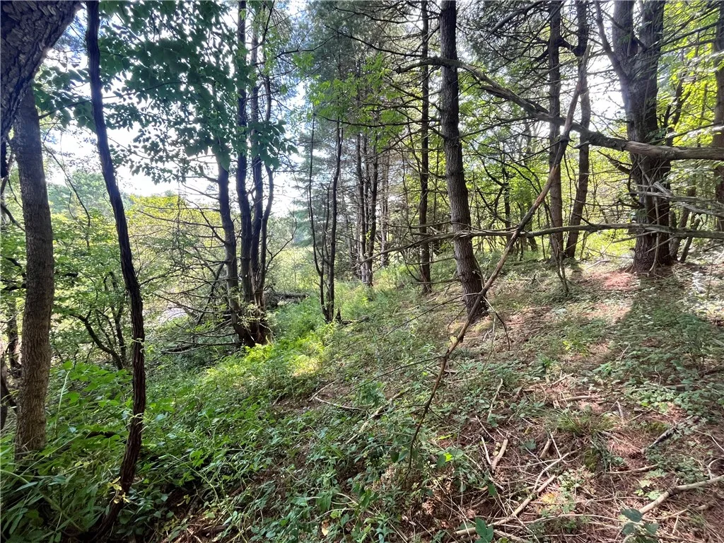 0 Chase Road, Bainbridge, New York 13730, Bainbridge, New York 13730, ,Land,For Sale,0 Chase Road, Bainbridge, New York 13730,R1633328