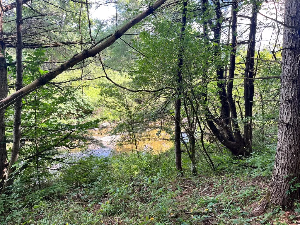 Kelsey Creek