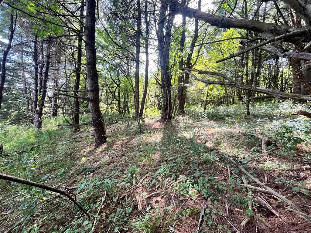 0 Chase Road, Bainbridge, New York 13730, Bainbridge, New York 13730, ,Land,For Sale,0 Chase Road, Bainbridge, New York 13730,R1633328