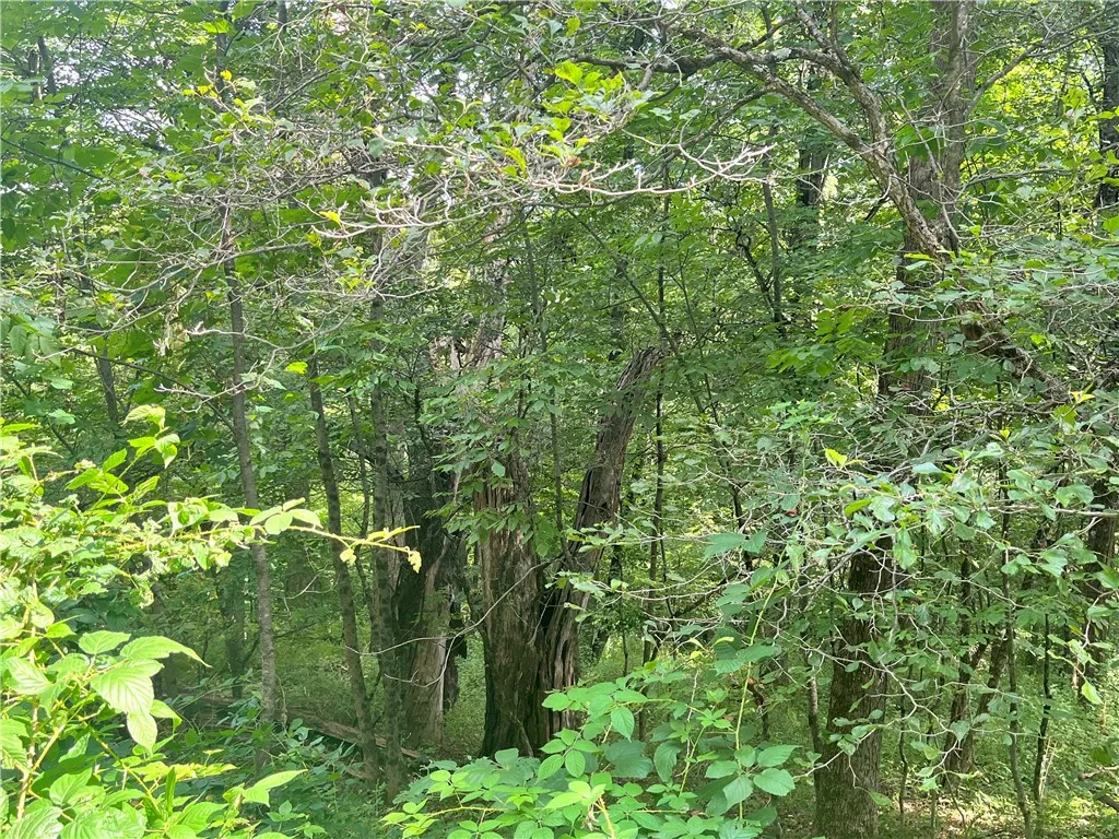 0 Chase Road, Bainbridge, New York 13730, Bainbridge, New York 13730, ,Land,For Sale,0 Chase Road, Bainbridge, New York 13730,R1633328
