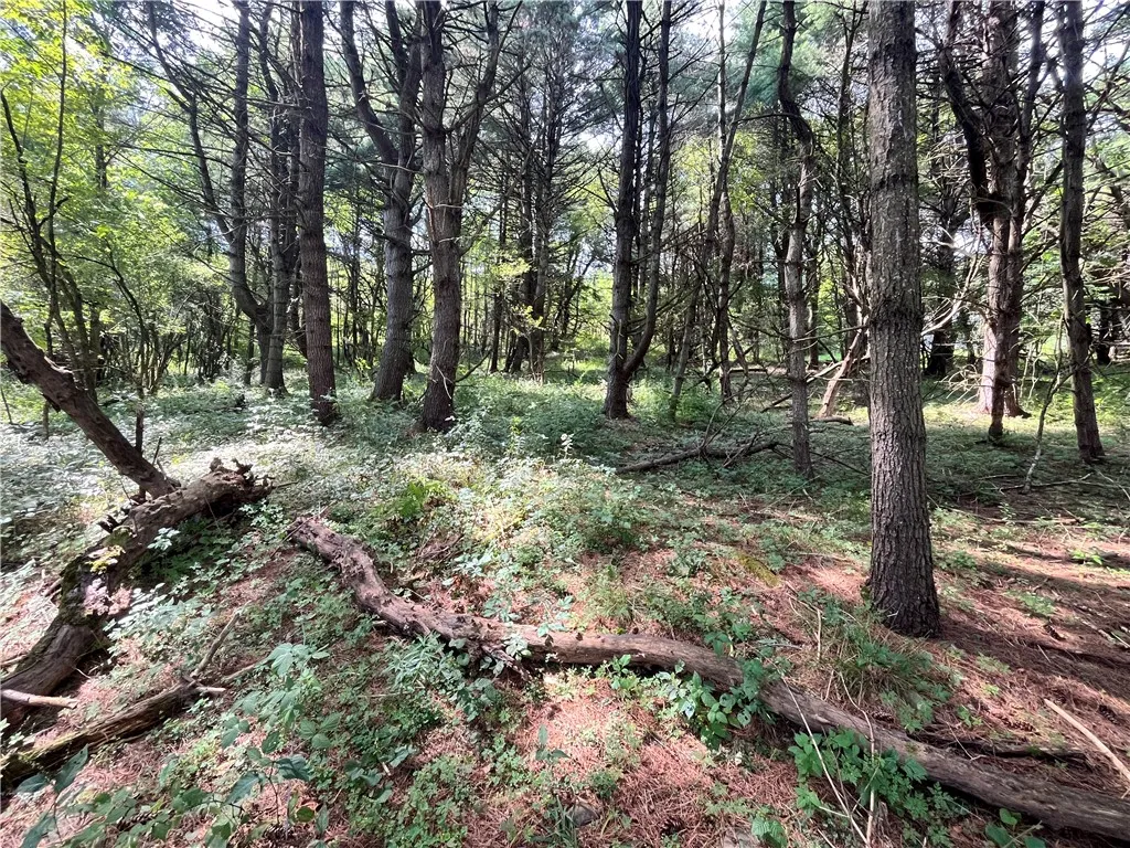 0 Chase Road, Bainbridge, New York 13730, Bainbridge, New York 13730, ,Land,For Sale,0 Chase Road, Bainbridge, New York 13730,R1633328