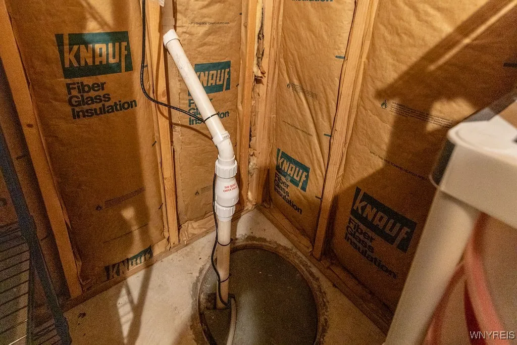 Sump pump and storage area.