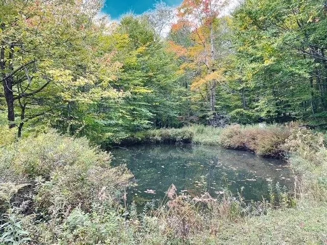 50 Balsam Mountain Camp Road, Hardenburgh, New Yor, Hardenburgh, New York 12455, 2 Bedrooms Bedrooms, 3 Rooms Rooms,Land,For Sale,50 Balsam Mountain Camp Road, Hardenburgh, New Yor,R1633071