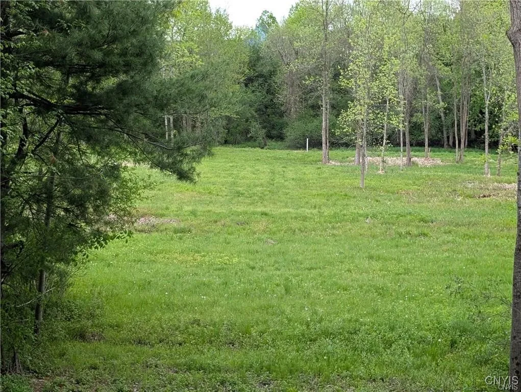 16744 Thompson Trail Drive, Brownville, New York 1, Brownville, New York 13634, ,Land,For Sale,16744 Thompson Trail Drive, Brownville, New York 1,S1633366