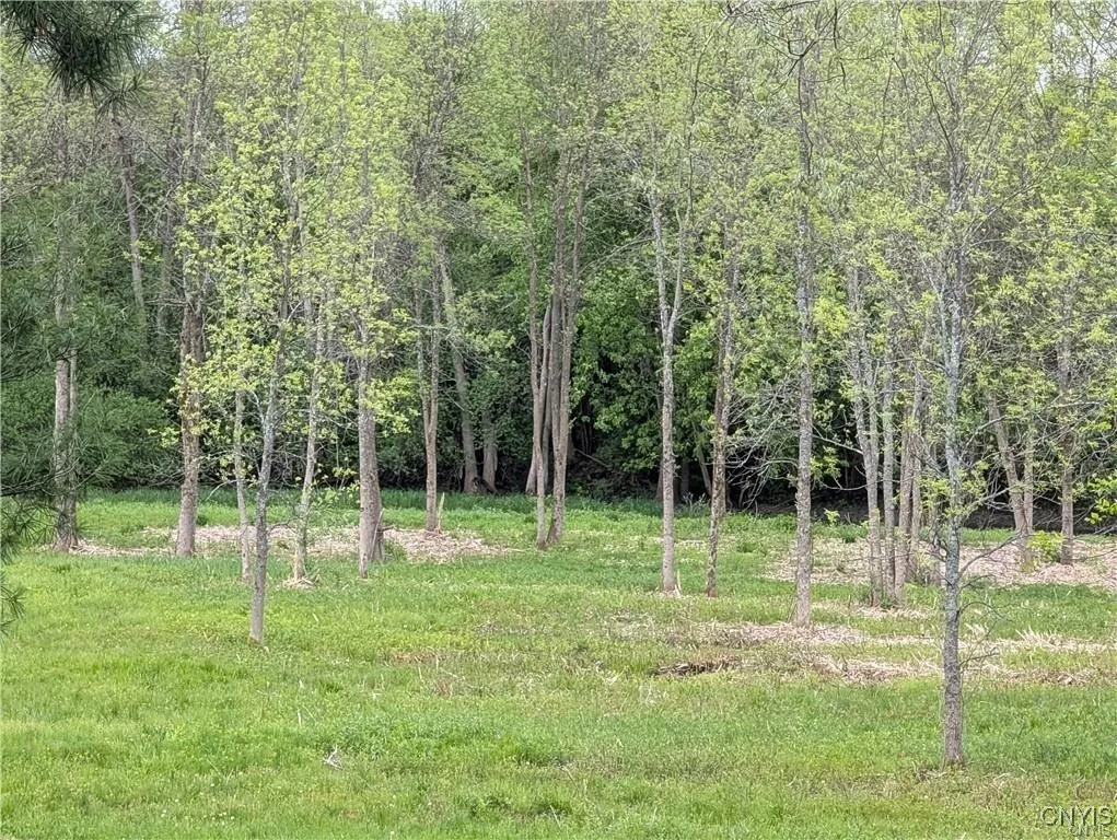 16744 Thompson Trail Drive, Brownville, New York 1, Brownville, New York 13634, ,Land,For Sale,16744 Thompson Trail Drive, Brownville, New York 1,S1633366