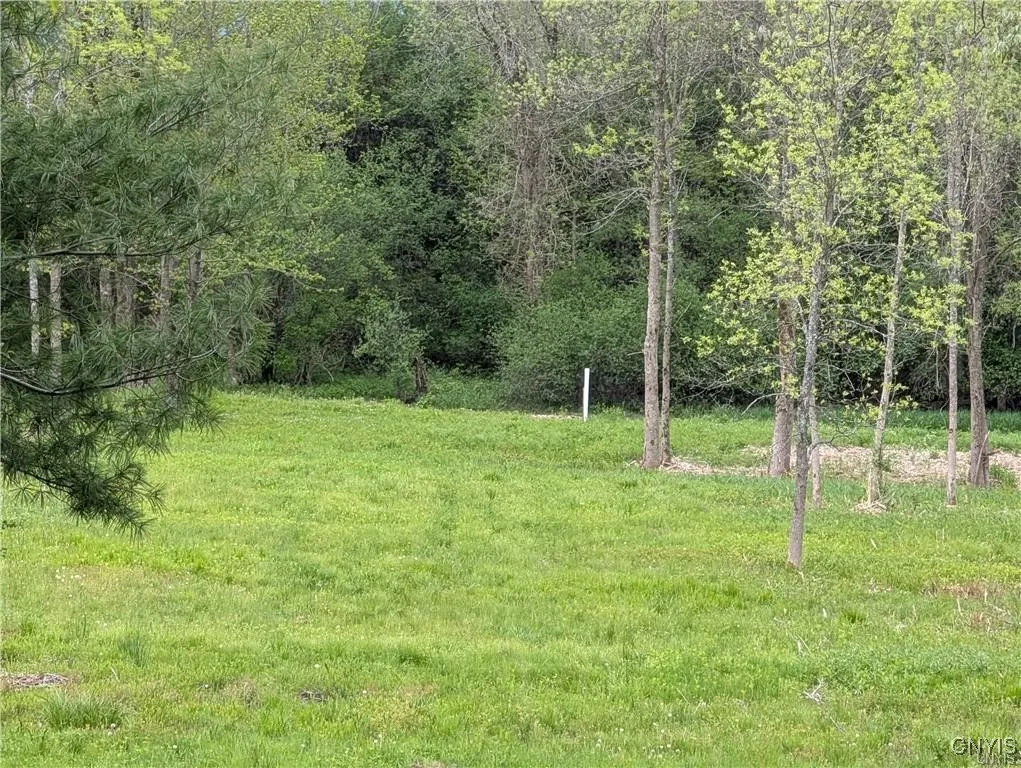 16744 Thompson Trail Drive, Brownville, New York 1, Brownville, New York 13634, ,Land,For Sale,16744 Thompson Trail Drive, Brownville, New York 1,S1633366