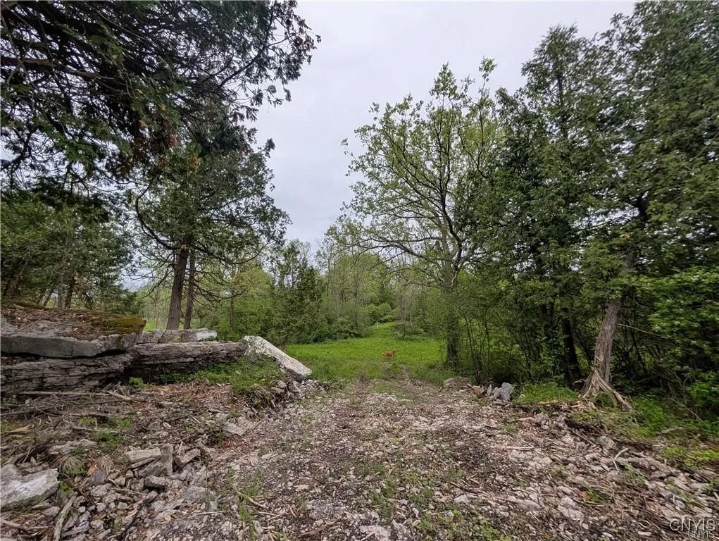 16744 Thompson Trail Drive, Brownville, New York 1, Brownville, New York 13634, ,Land,For Sale,16744 Thompson Trail Drive, Brownville, New York 1,S1633366