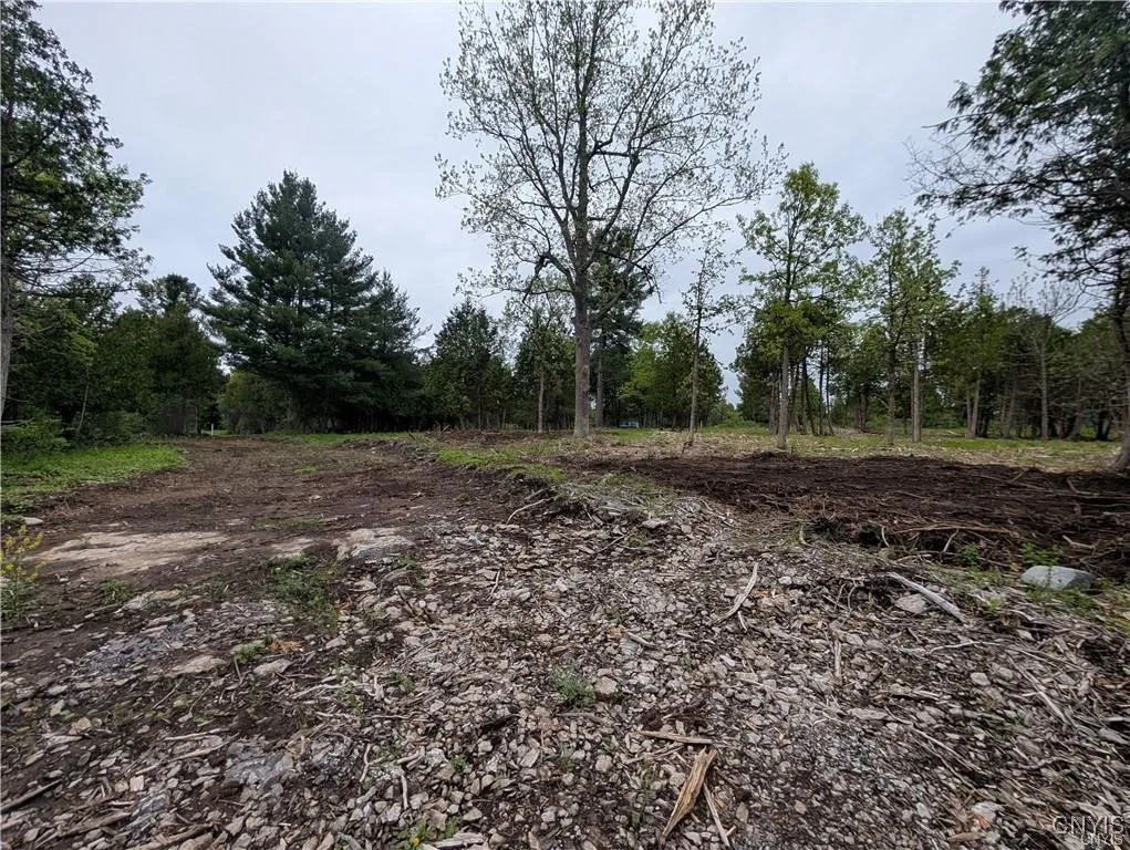 16744 Thompson Trail Drive, Brownville, New York 1, Brownville, New York 13634, ,Land,For Sale,16744 Thompson Trail Drive, Brownville, New York 1,S1633366