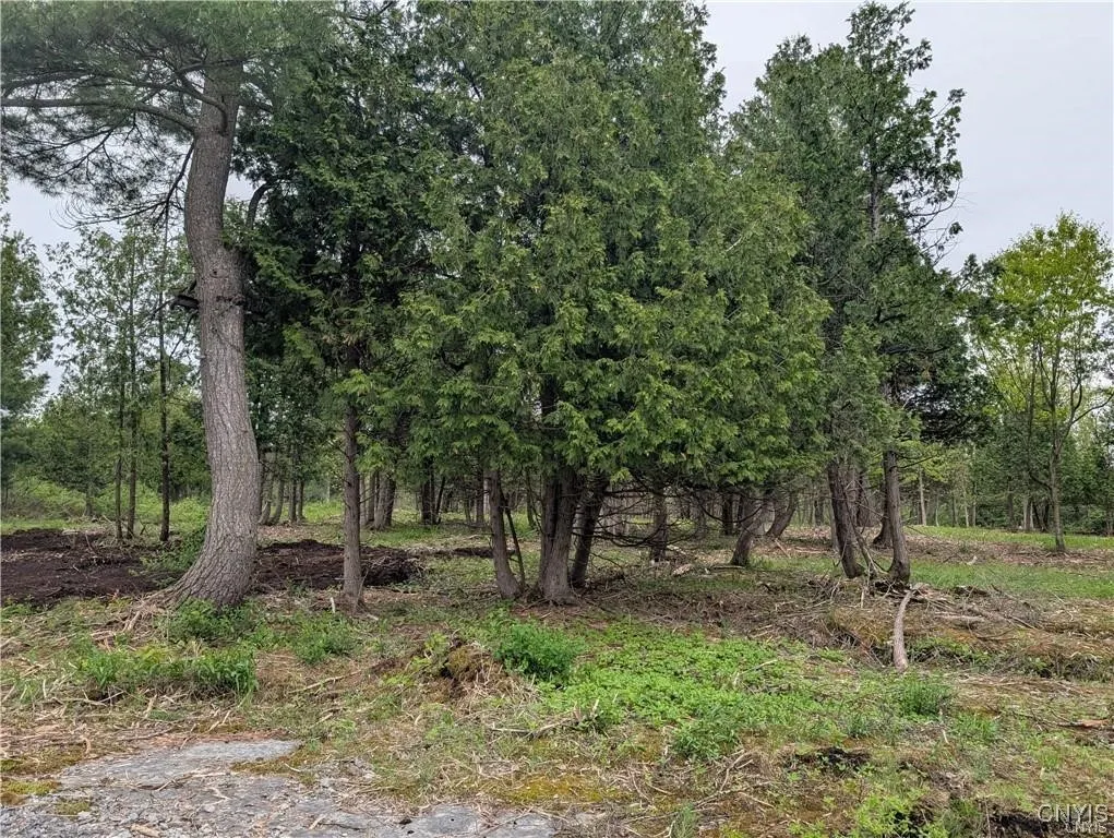 16744 Thompson Trail Drive, Brownville, New York 1, Brownville, New York 13634, ,Land,For Sale,16744 Thompson Trail Drive, Brownville, New York 1,S1633366