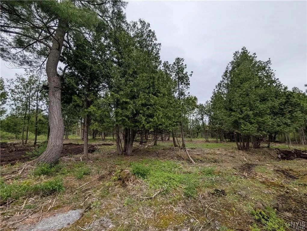 16744 Thompson Trail Drive, Brownville, New York 1, Brownville, New York 13634, ,Land,For Sale,16744 Thompson Trail Drive, Brownville, New York 1,S1633366