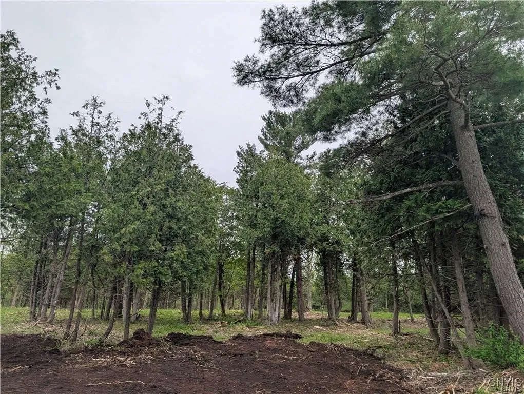 16744 Thompson Trail Drive, Brownville, New York 1, Brownville, New York 13634, ,Land,For Sale,16744 Thompson Trail Drive, Brownville, New York 1,S1633366