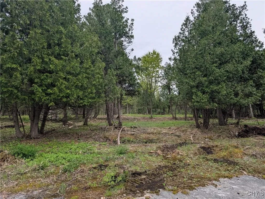 16744 Thompson Trail Drive, Brownville, New York 1, Brownville, New York 13634, ,Land,For Sale,16744 Thompson Trail Drive, Brownville, New York 1,S1633366