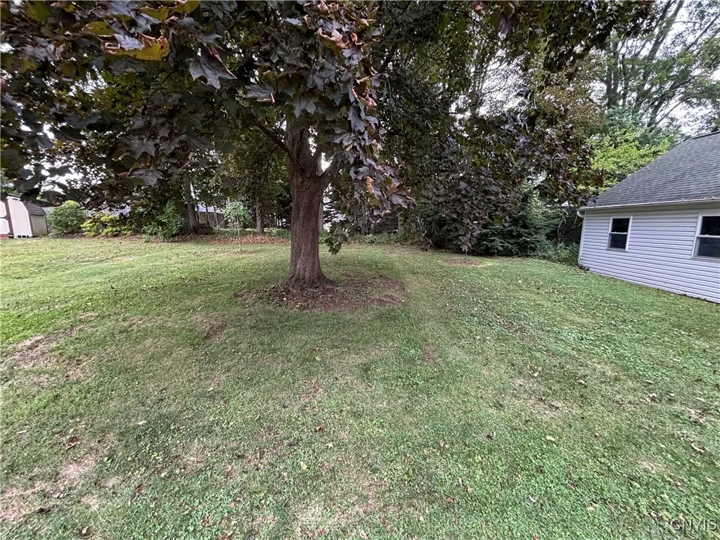 Level yard