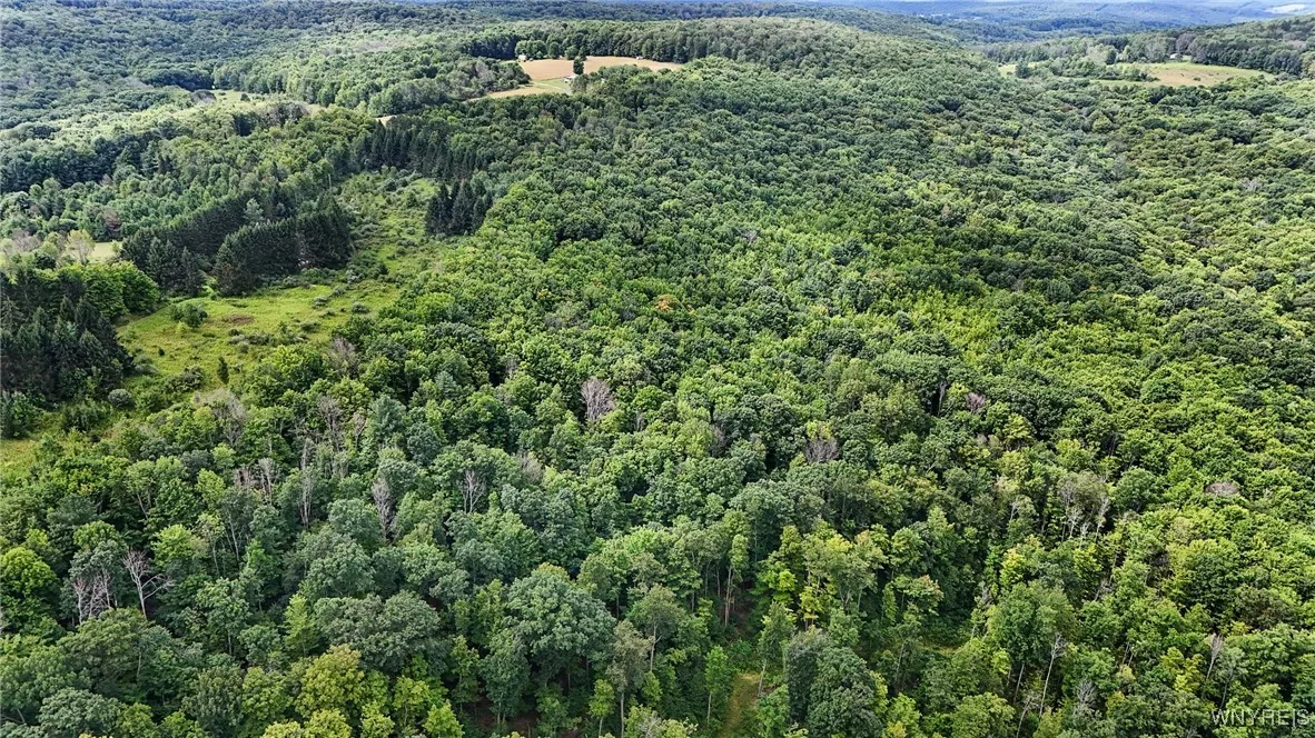 00 Beebe Hill Road, Cuba, New York 14727, Cuba, New York 14727, ,Land,For Sale,00 Beebe Hill Road, Cuba, New York 14727,B1633342