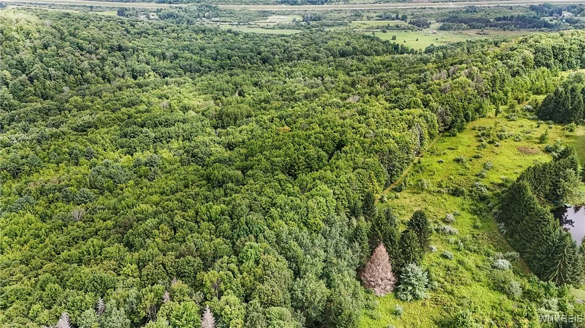 00 Beebe Hill Road, Cuba, New York 14727, Cuba, New York 14727, ,Land,For Sale,00 Beebe Hill Road, Cuba, New York 14727,B1633342