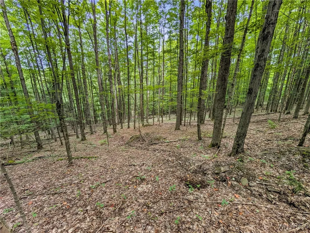 00 Beebe Hill Road, Cuba, New York 14727, Cuba, New York 14727, ,Land,For Sale,00 Beebe Hill Road, Cuba, New York 14727,B1633342