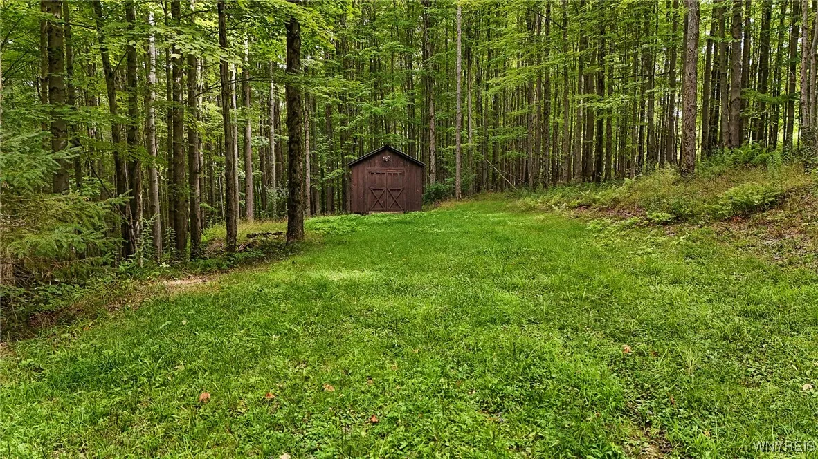 00 Beebe Hill Road, Cuba, New York 14727, Cuba, New York 14727, ,Land,For Sale,00 Beebe Hill Road, Cuba, New York 14727,B1633342