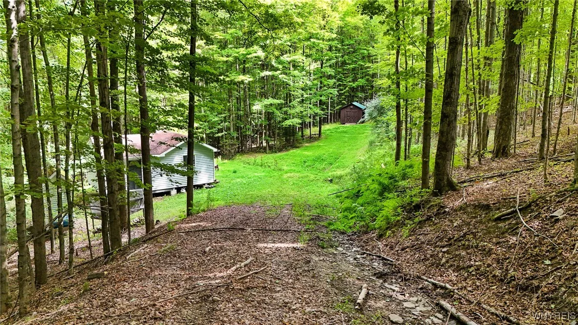 00 Beebe Hill Road, Cuba, New York 14727, Cuba, New York 14727, ,Land,For Sale,00 Beebe Hill Road, Cuba, New York 14727,B1633342
