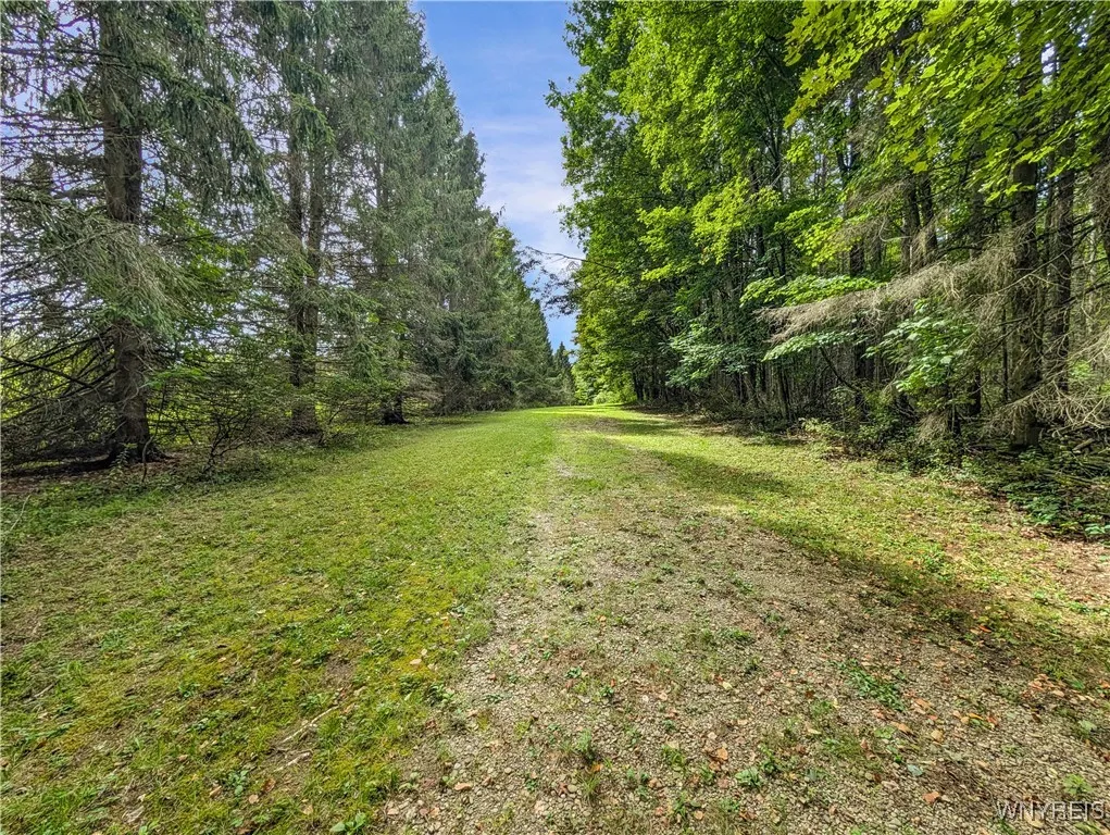 00 Beebe Hill Road, Cuba, New York 14727, Cuba, New York 14727, ,Land,For Sale,00 Beebe Hill Road, Cuba, New York 14727,B1633342